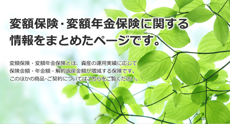 �������C������t�B�i���V���������Ɋւ�������܂Ƃ߂��T�C�g�ł��B